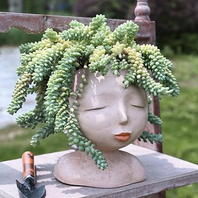 AIMEBBY Face Flower Pot Head Planter Indoor Outdoor Cute Flower Pots Resin Planter Face Planter with Drainage Hole