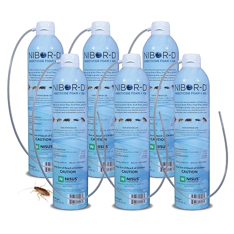 Nisus Nibor-D Insecticide Foam with IGR, 6 Pack, 21 oz Can