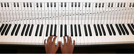 QMG Piano and Keyboard Note Chart for 88 Keys, Use Behind the Keys, Ideal Visual Tool for Beginners Learning Piano or Keyboard, Easy to Set Up