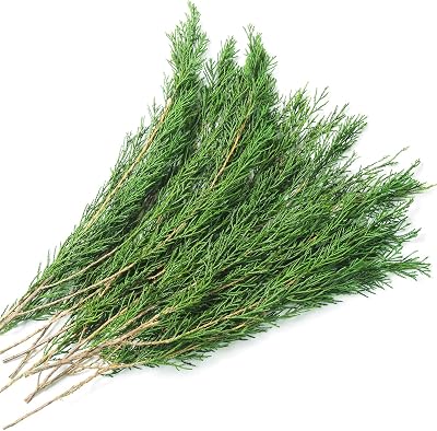 Preserved Real Pine Leaves Branches, 17 Natural Pine Needles Green Plants, 3.5OZ Greenery Twigs Stems, Evergreen Picks for Christmas Garland Wreath Home Wedding Decor Floral Arrangements