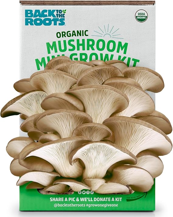 Back to the Roots Organic Mini Mushroom Grow Kit, Harvest Gourmet Oyster Mushrooms In 10 days, Top Gardening Gift, Holiday Gift, Unique Gift