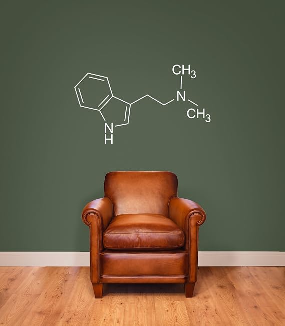 DMT Dimethyltryptamine Molecule Molecular Model - 36" White Vinyl Wall Decal