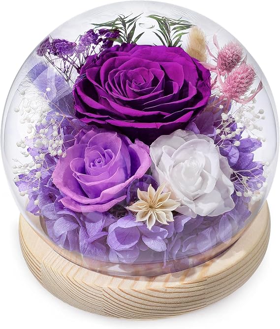 FIACO Gifts for Mom Mothers Day Women Birthday Preserved Flowers in Glass Dome Forever Fresh Flowers for Delivery Eternal Roses Gifts for Grandma Wife Daughter Friends