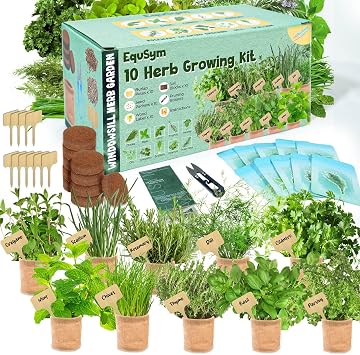 10 Herb Window Garden Kit Indoor - Herb Seeds for Indoor & Outdoor Gardening, Seeds for Planting, Gardening Gift for Kid Mothers Day Women, Complete Herb Growing Kit with Pots, Soil, Basil, Mint