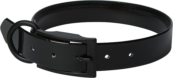 SunGlo Regular Dog Collar, 3/4" Wide, Black, Fits 11.5"- 15" Neck Sizes, Vibrant Colors & Tough Construction for Active Dogs