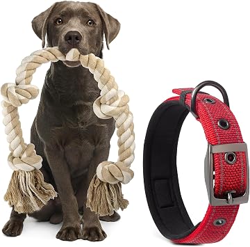PetiFine Dog Rope Toys for Aggressive Chewers, Heavy Duty Buckle Dog Collar and Dog Chew Rope Toys for Medium Large Dogs(14.5-19",red)