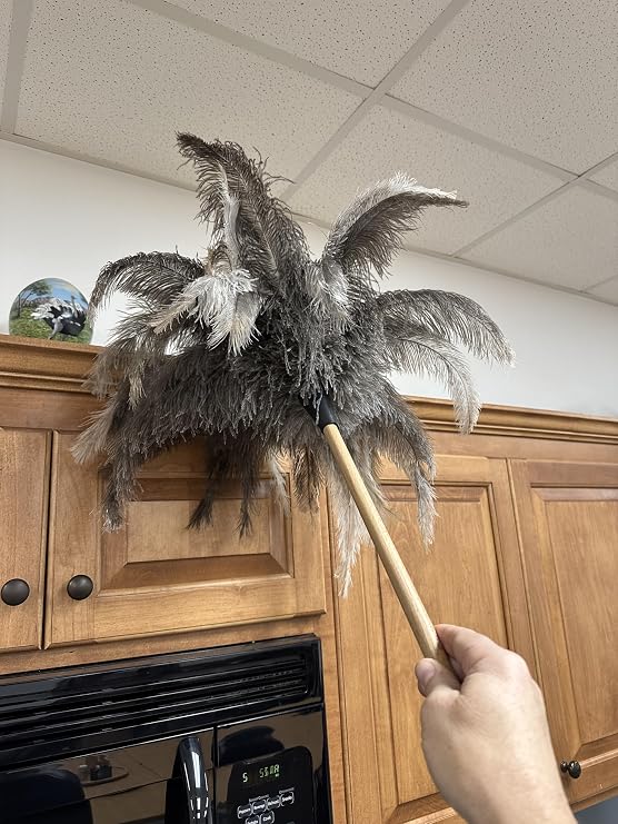 Premium Feather Duster
