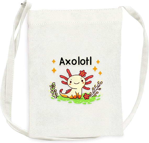 Mini Canvas Bag for Teens Kids Girls, Small Purse with Shoulder Strap Holds Phone Wallet Keys Lipstick Coin!