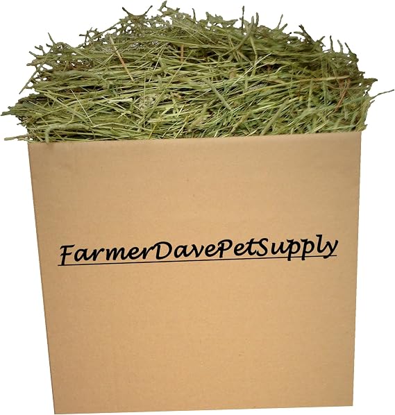 15 Lb First Cut Timothy Hay, Rabbit and Bunny Hay