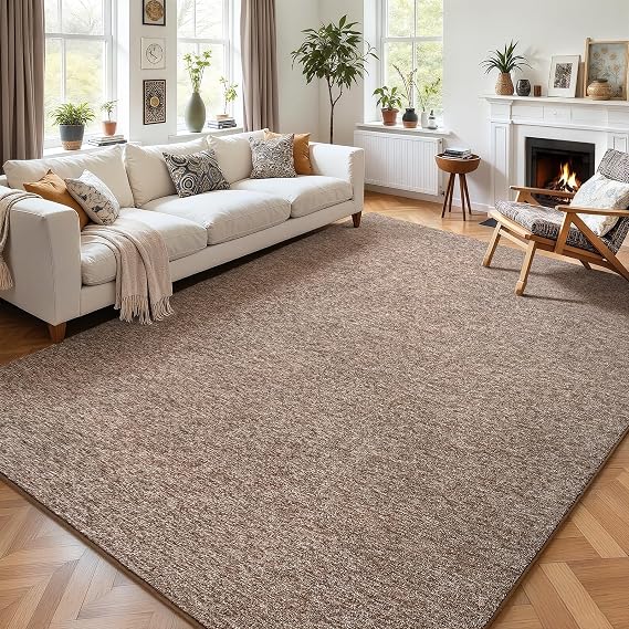 AROGAN 5x7 Area Rugs for Living Room Non Slip Dorm Bedroom Rug, Matte Brown