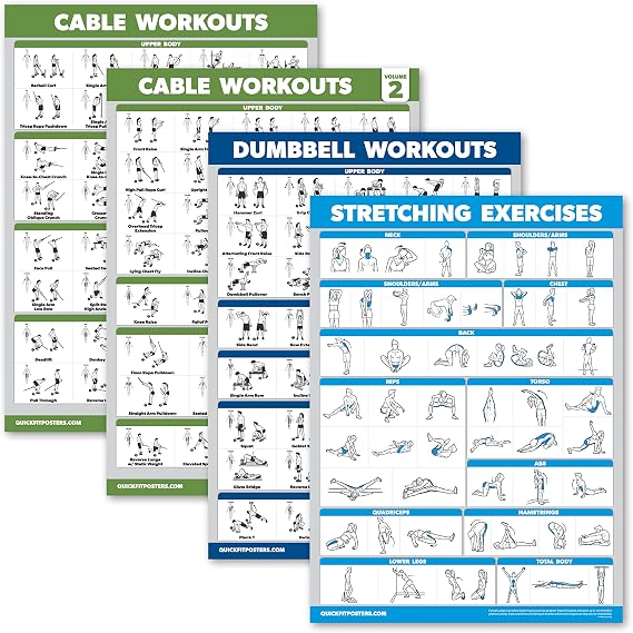 Palace Learning 4 Pack - Cable Machine Workout Posters Volume 1 & 2 + Dumbbell Exercises + Stretching Exercises (LAMINATED, 18" x 24")