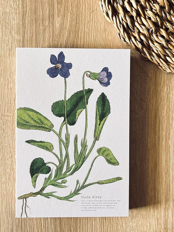 Difference Introduction A5 Unlined Notepad with Special Design Cover - 180 Degree Openable, Back Stitched, 100% Handcrafted, Ideal for Office, Planner (Viola Hirta Cover Design)